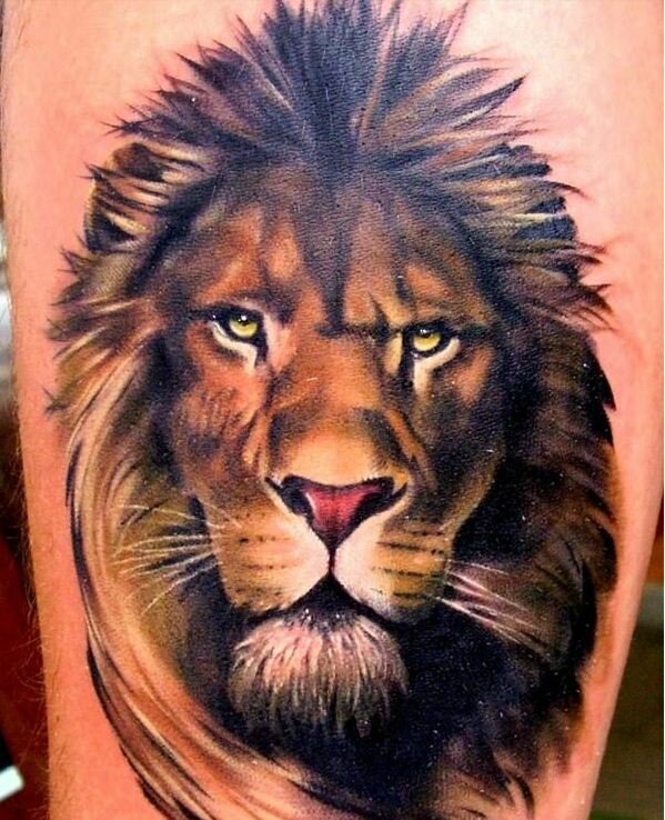 Cute Lion Tattoo Design 50